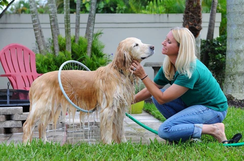 Self-Cleaning 360° Pet Bath – Hassle-Free Washing for Dogs & Cats