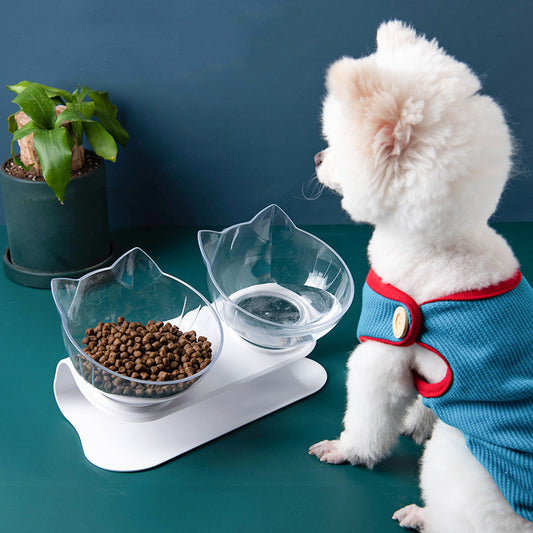 Inclined Transparent Pet Bowl – Ergonomic Cat & Dog Feeder